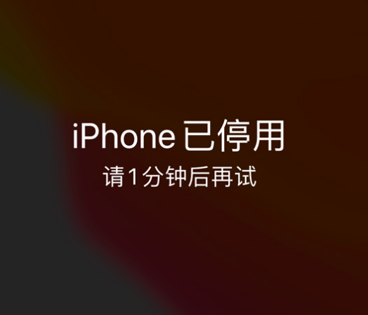 崇信苹果手机维修分享:iPhone 显示“不可用”或“已停用”怎么办？还能保留数据吗？ 