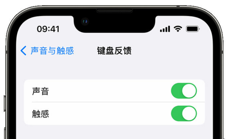 崇信苹果手机维修分享iPhone 14触感键盘使用方法 