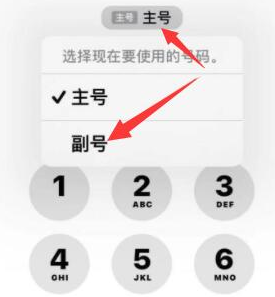 崇信苹果14维修店分享iPhone 14 Pro Max使用副卡打电话的方法 