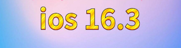 崇信苹果服务网点分享苹果iOS16.3升级反馈汇总 