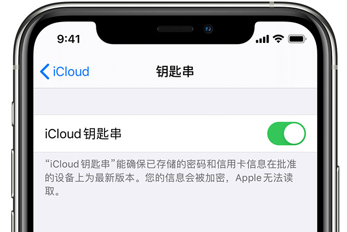 崇信苹果手机维修分享在 iPhone 上开启 iCloud 钥匙串之后会储存哪些信息 