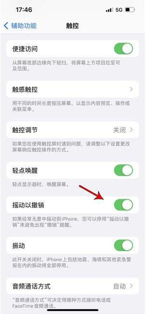 崇信苹果手机维修分享iPhone手机如何设置摇一摇删除文字 